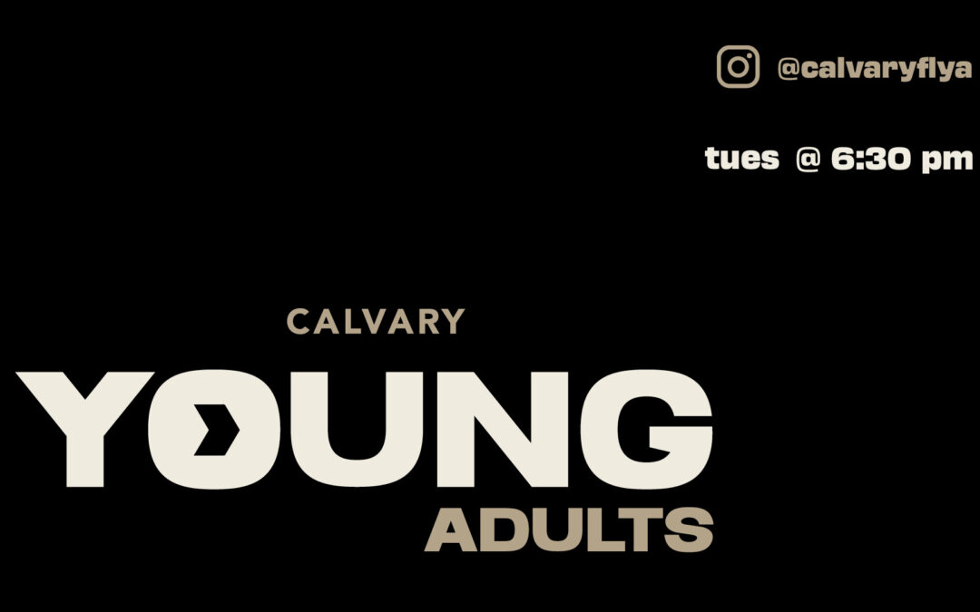 Young Adults Panel Night